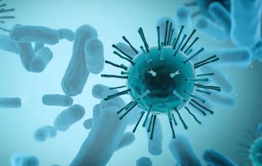 COVID-19 Antigen Rapid Test Kits